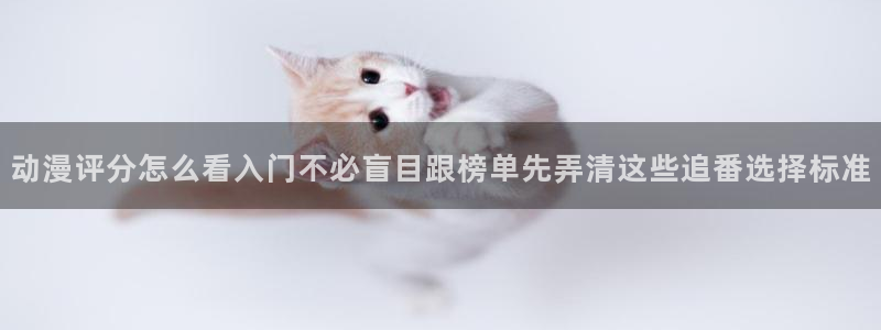 新番在线观看