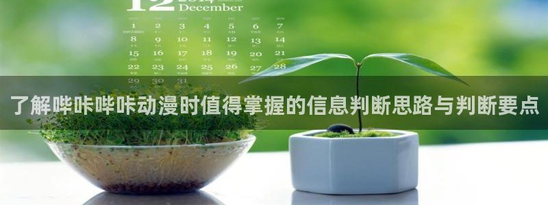 动漫新作推荐