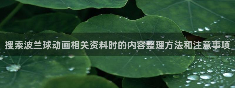 最新新番