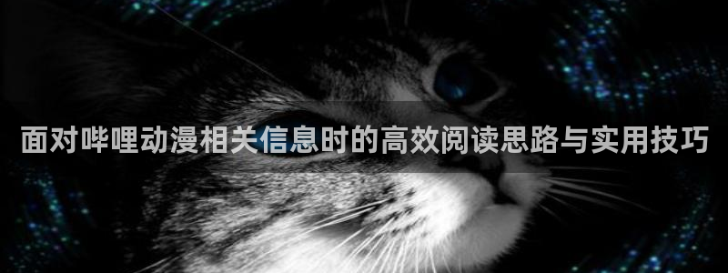 推理动漫推荐