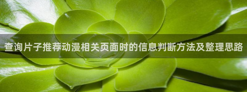 动漫新作推荐