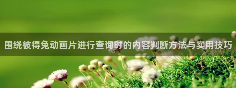 动漫网入口导航