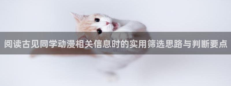 动漫剧情介绍